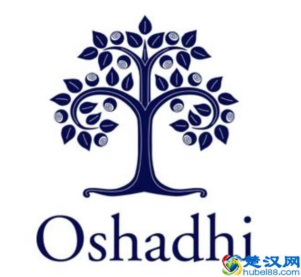 世界最顶级5大精油品牌