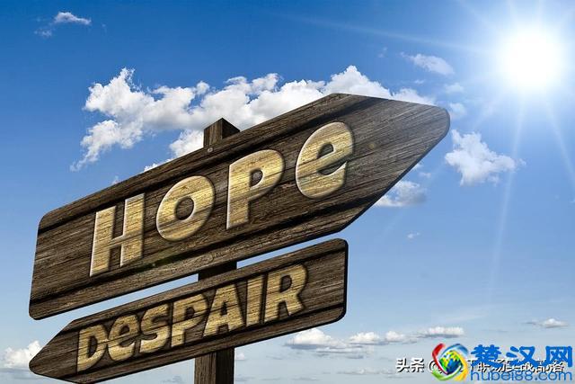 “价值观”是什么？这是我见过最通俗易懂的回答！