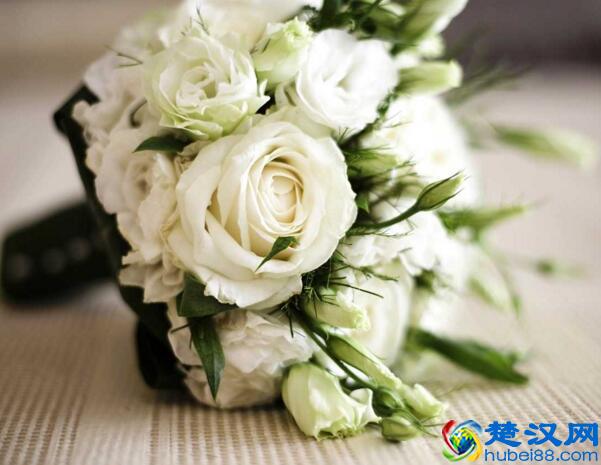 白玫瑰的花语是什么,白玫瑰代表什么意思(纯纯的爱)