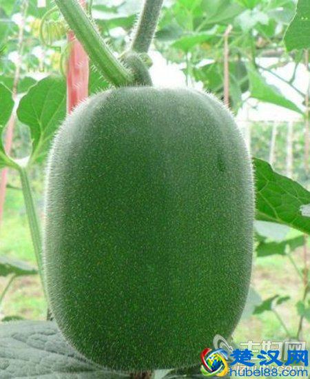 女人吃什么可以美白 快速美白的方法大揭秘