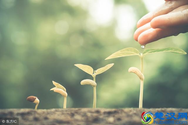 情感语录：这世上只有冷暖自知，哪有什么感同身受