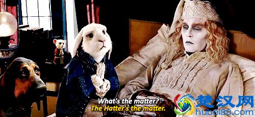 为什么乌鸦会像写字台？