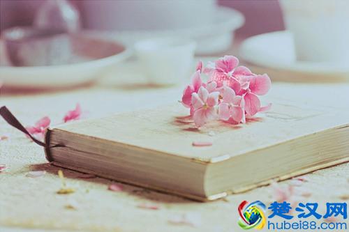 相信这十句话，一切会变得轻松而释然