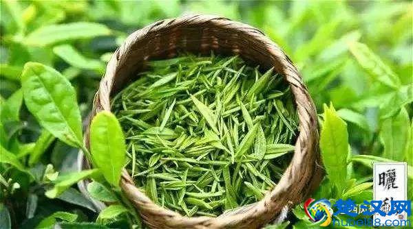 江西十大名茶,你最爱哪一款?