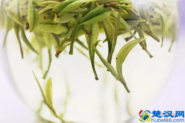 江西十大名茶,你最爱哪一款?