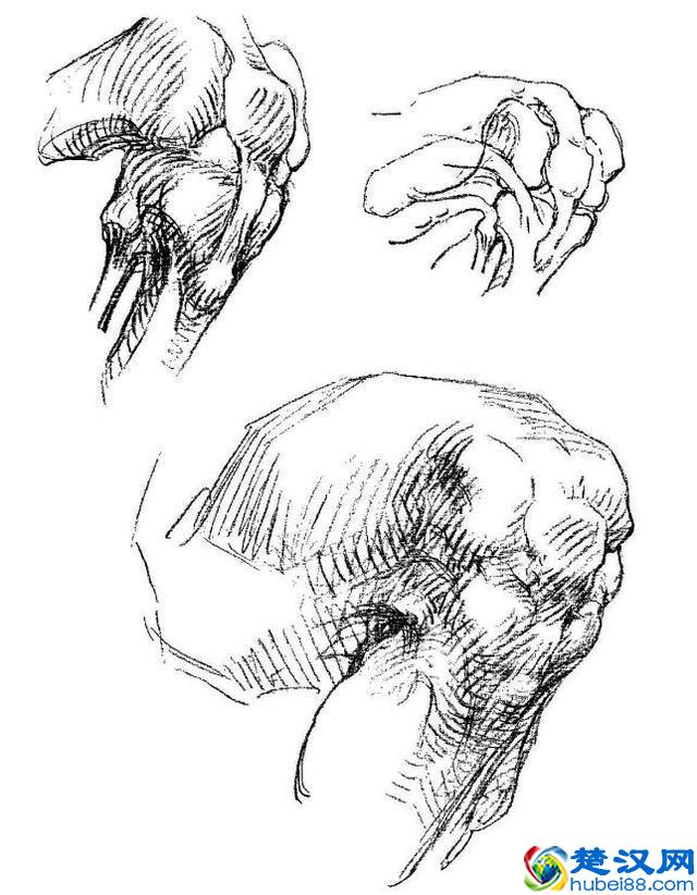 在数位板绘画和在纸上绘画有什么区别?数位板基础知识
