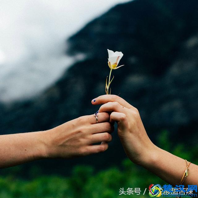 真正的爱情是什么样子？（说说你们心中它是什么样的）