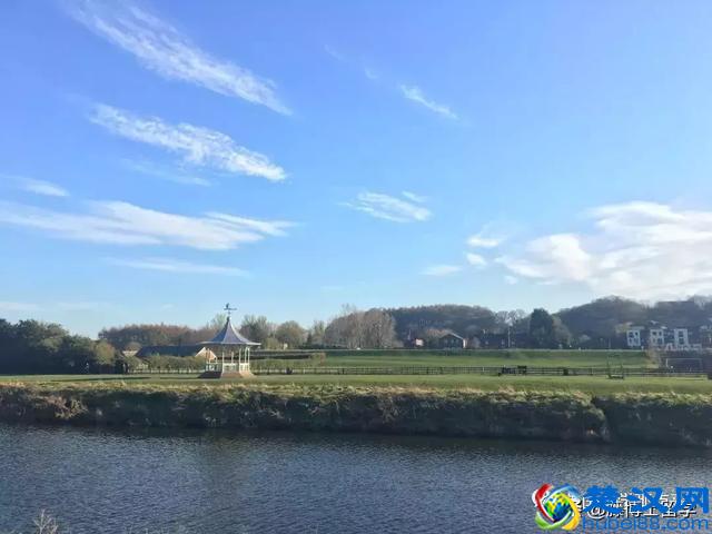 到底该不该出国留学？留学有没有用？出过的人都有话说……