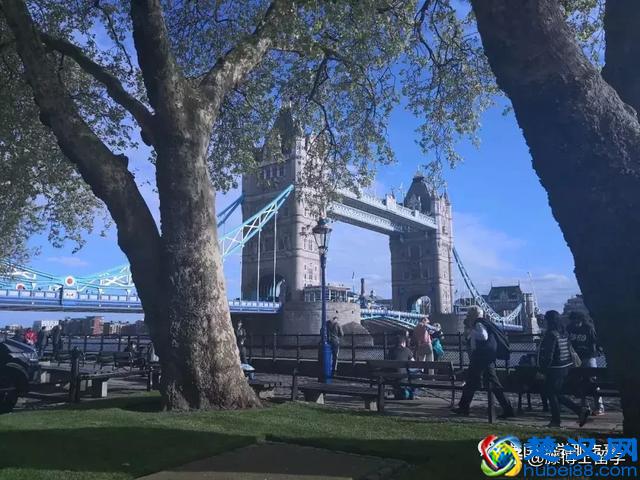 到底该不该出国留学？留学有没有用？出过的人都有话说……