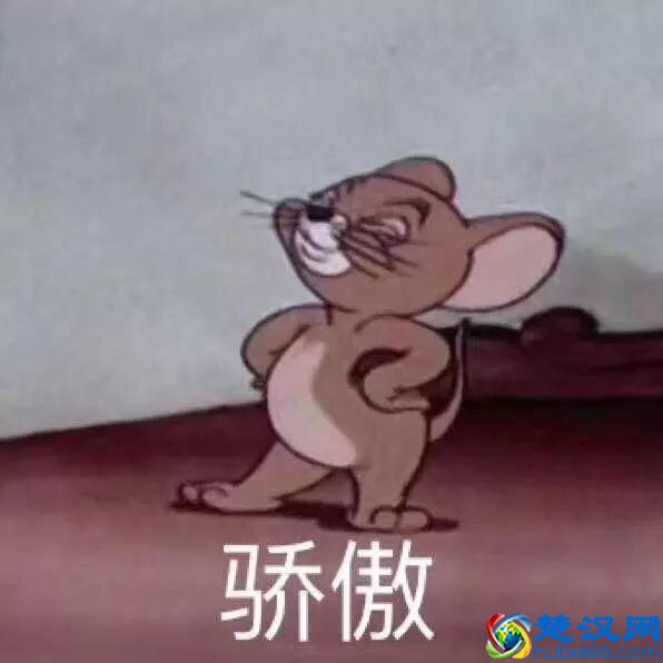 英国留学三部曲，漏了步骤，损失可能无法挽回