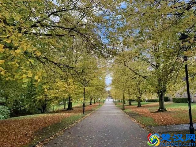 英国留学三部曲，漏了步骤，损失可能无法挽回