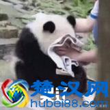 英国留学DIY，你应该知道的18个申请流程