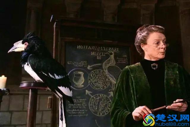 《哈利波特》巫师实力排行榜，伏地魔第二