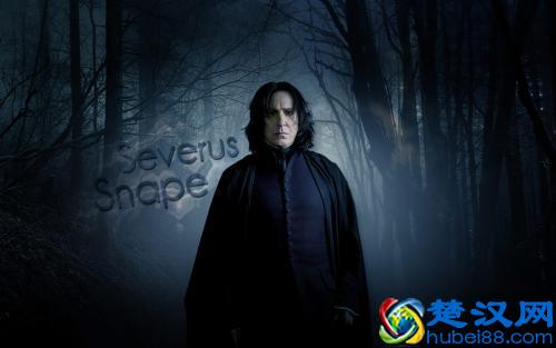 《哈利波特》巫师实力排行榜，伏地魔第二