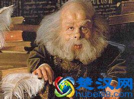 《哈利波特》巫师实力排行榜，伏地魔第二