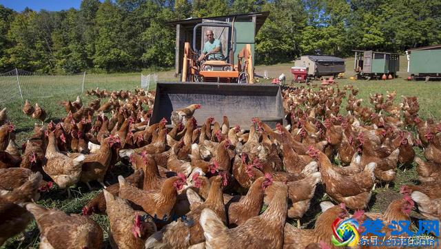 美国最有钱的州：靠农业人均50万年收入，95%是英国后裔