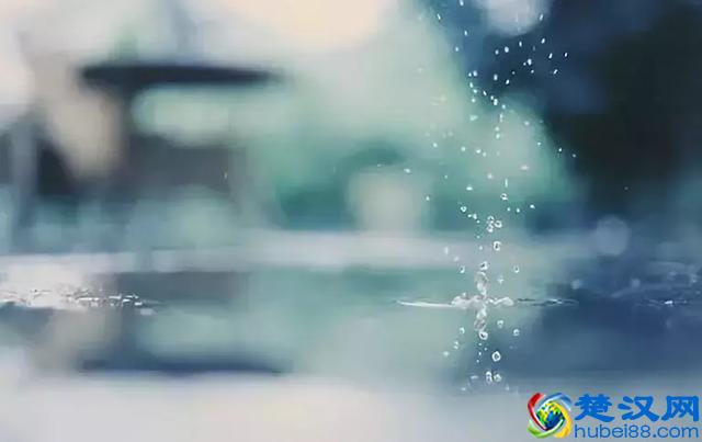 忘了从什么时候开始