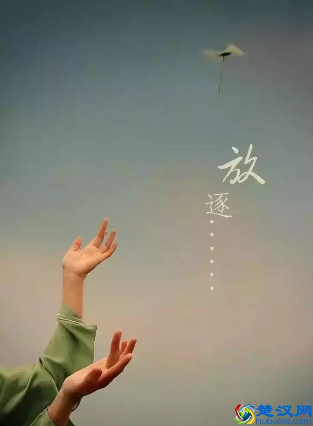 忘了从什么时候开始