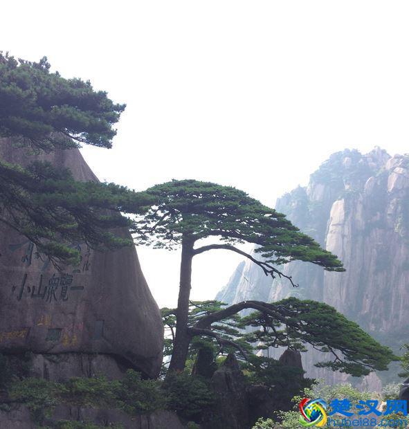 你想门店经营持久吗？注意这四项准则！