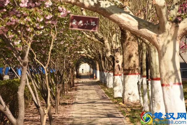 保定学院：这所百年老校，招生计划在减少……