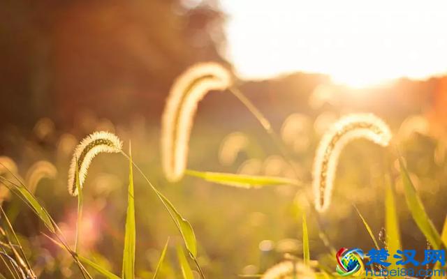 误把“香蕉水”当矿泉水,小伙喝下一大口险丢命