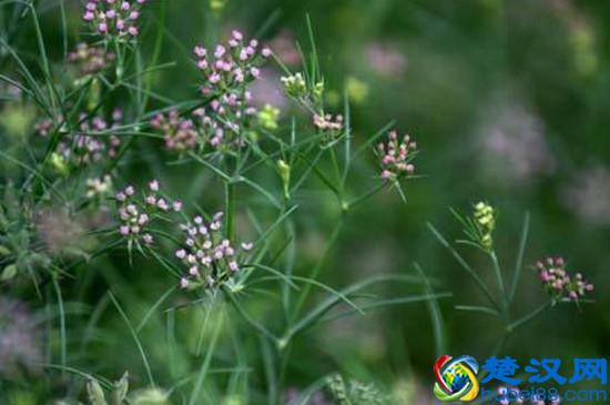 「干货！」新手开店操作流程，你确定你清楚吗？
