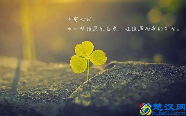 Siri早安捷径怎么设置?iOS12早安捷径Siri安装使用教程