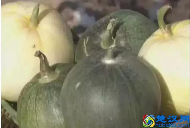 沃德千呐！原来延长人才是延安最会做生意的人