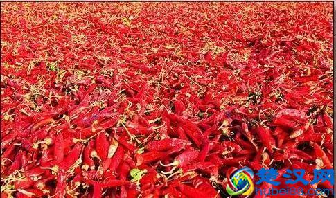 沃德千呐！原来延长人才是延安最会做生意的人