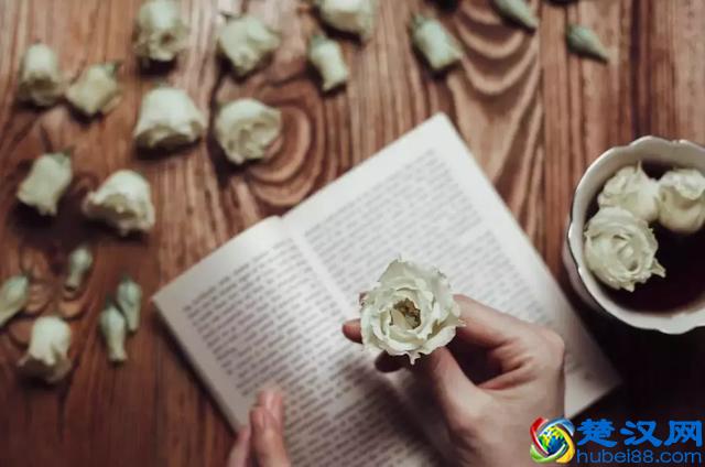 当你想要更多的时候，意味着你对已拥有的东西视而不见