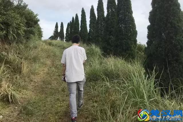 喜茶的价格贵吗？一杯四季春卖斋茶为什么可以卖19元？