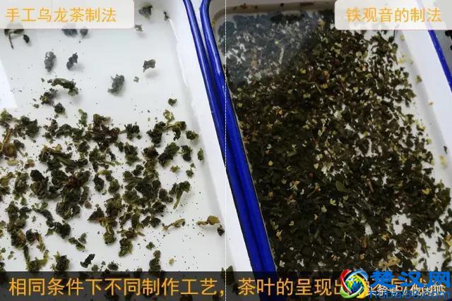 喜茶的价格贵吗？一杯四季春卖斋茶为什么可以卖19元？