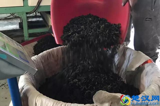 喜茶的价格贵吗？一杯四季春卖斋茶为什么可以卖19元？