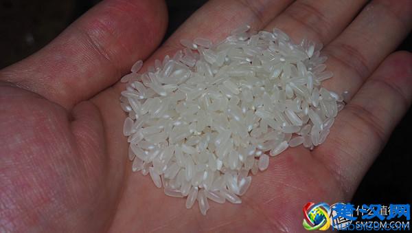 什么大米值得买？图文良心详评5款平民好米！