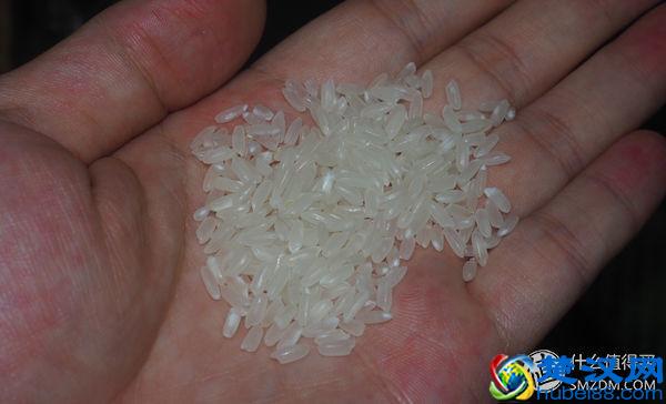 什么大米值得买？图文良心详评5款平民好米！