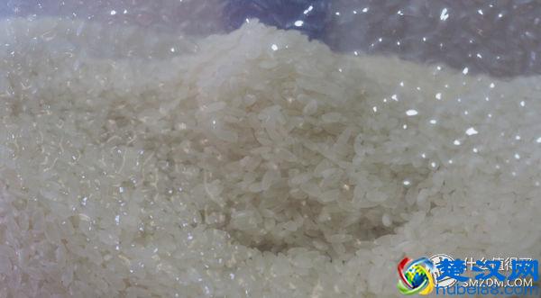 什么大米值得买？图文良心详评5款平民好米！