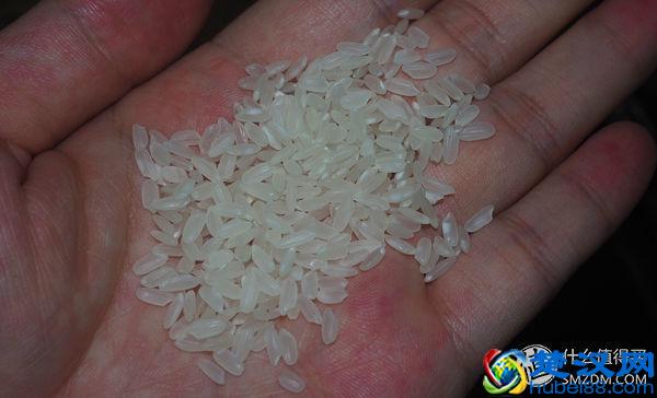 什么大米值得买？图文良心详评5款平民好米！