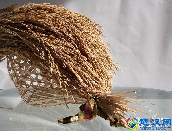 什么大米值得买？图文良心详评5款平民好米！