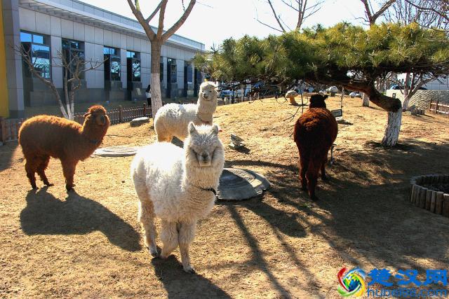 大学生考驾照需要注意哪些事项？