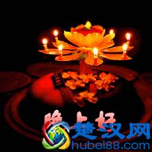 夜晚的一个人是孤独的，尤其是在想你的时候，晚安