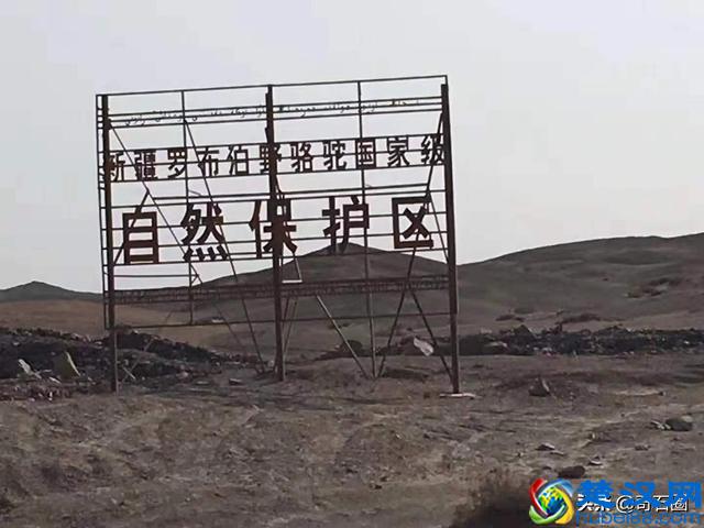 什么地方有陨石？如何才能找到陨石？让陨石猎人来告诉你！