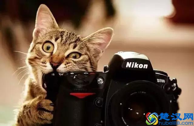 平面设计学什么？很详细、全面