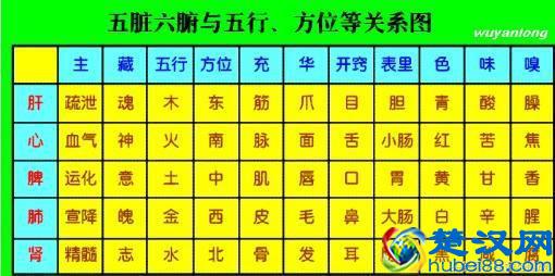 中医讲的五脏六腑都指什么？如何保养？