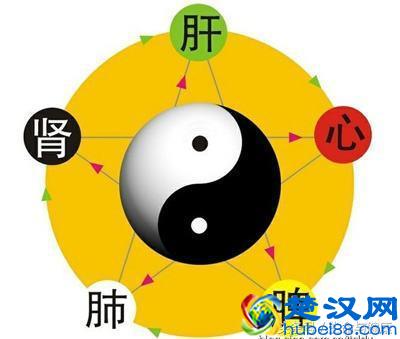 中医讲的五脏六腑都指什么？如何保养？