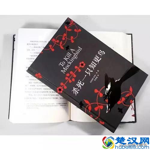 如何才能写好读后感？不会写读后感，读的书就不会转化为写作能力