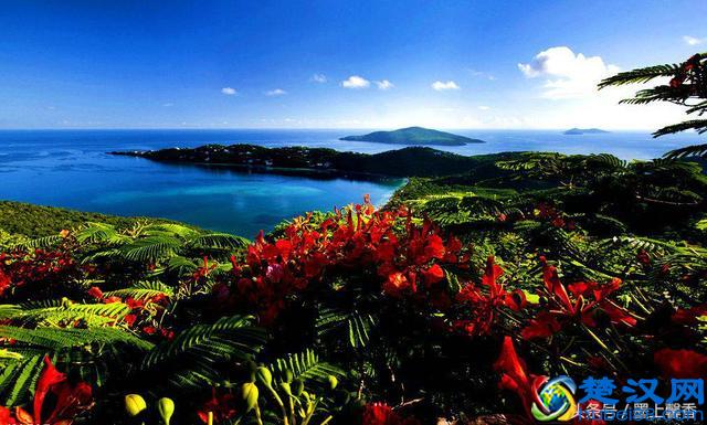 一望无际的是绝美花海，看着都感到好幸福！