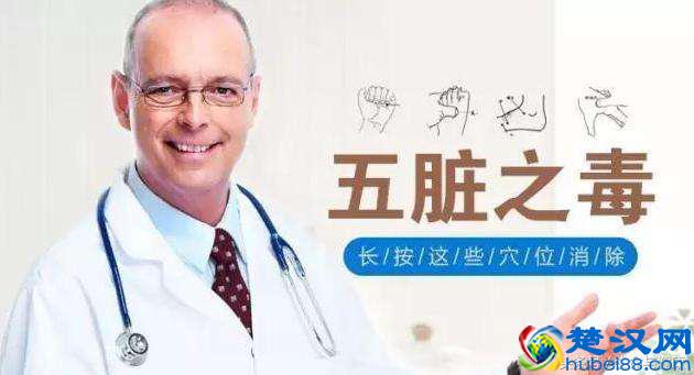 中医讲的五脏六腑都指什么？如何保养？