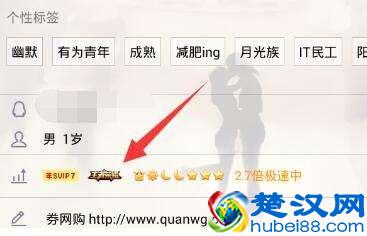 王者荣耀图标点亮方法详解 qq图标怎么点亮