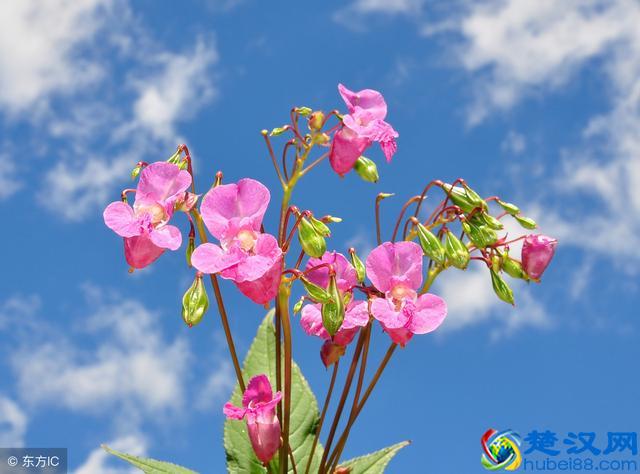 生活中到处可见三角形事物，什么是三角形，三角形有什么特性