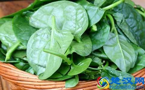 木耳菜是什么季节的菜 木耳和木耳菜有区别吗